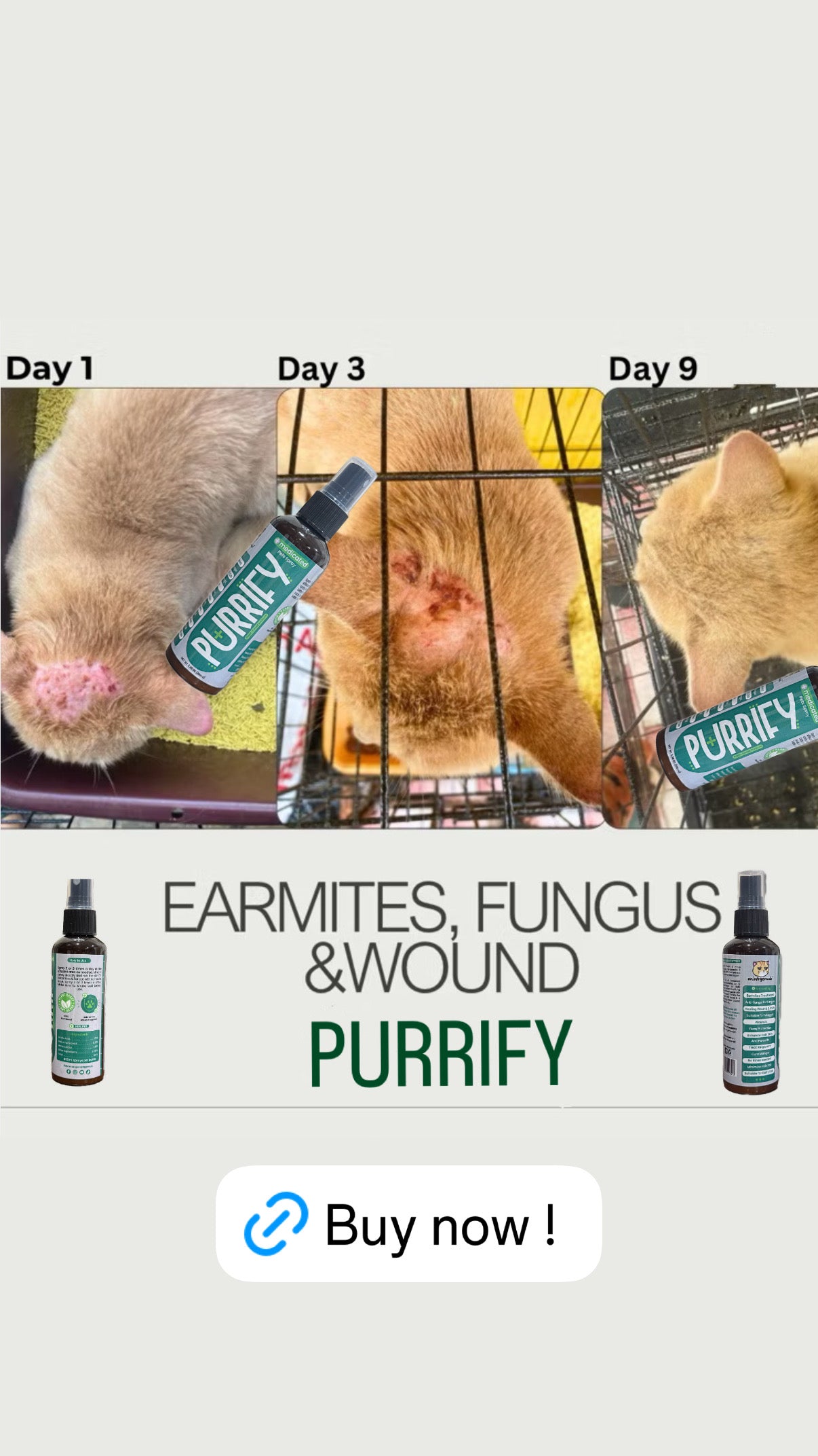 PURRIFY Medicated Pet Spray Anti Parasitic ,Anti Fungal , Anti Inflammation , Anti Bacteria , Anti Microbial